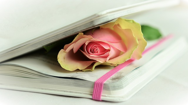 rose in book of poetry