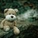 Sad teddy bear lost in the woods